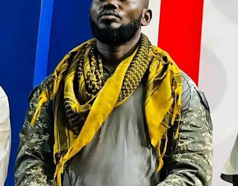NPP conference drama: Nana B to take instructions from his bodygaurd