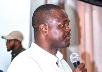Basiera Saankara has experience to succeed Pablo as NDC National Youth Organiser – Annan Perry
