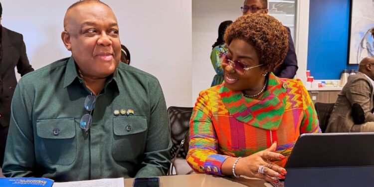 Ghana Medical Trust Fund seeks US partnerships to expand specialist healthcare