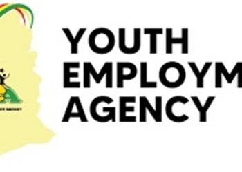 YEA plans four new employment programmes for 2027 – Basintale
