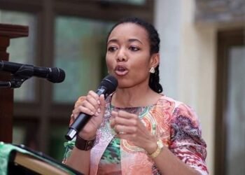 Zanetor describes galamsey as ‘chemical warfare’, calls for environmental courts