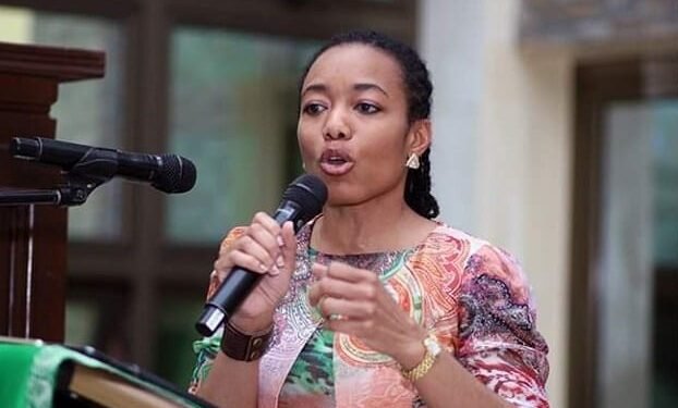 Zanetor describes galamsey as ‘chemical warfare’, calls for environmental courts
