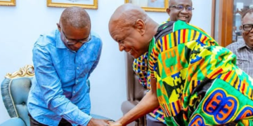 Energy Minister leads sector to pay courtesy call on Togbe Afede XIV