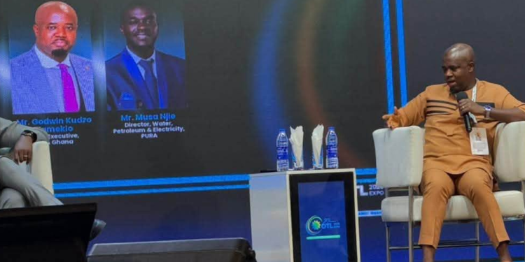 NPA CEO calls for harmonised oil and gas regulations across Africa