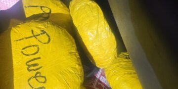 V/R: Customs seizes 560kg of⁠ suspecte‍d cannabis worth GH¢11.2m near Akatsi