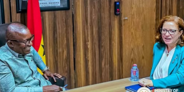 Energy Minister engages Italian Ambassador on investment opportunities