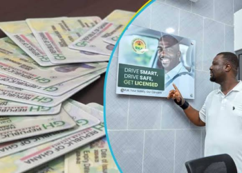 DVLA prints 440,000 driver’s licence applications to clear backlog