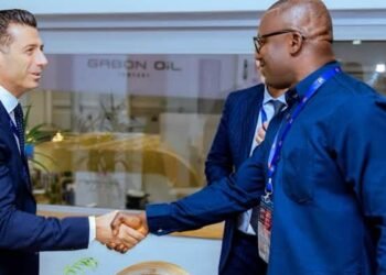 Jinapor holds talks with energy firms to attract investment into Ghana