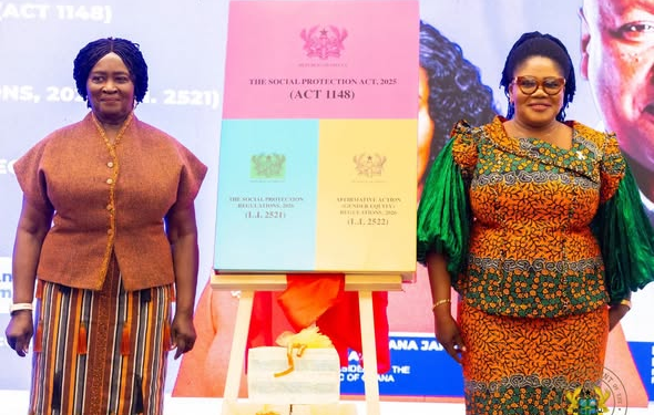 Vice President launches new social protection, gender equity laws