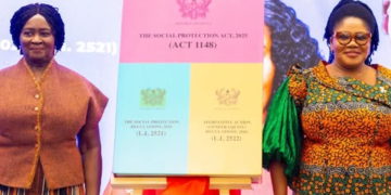 Vice President launches new social protection, gender equity laws